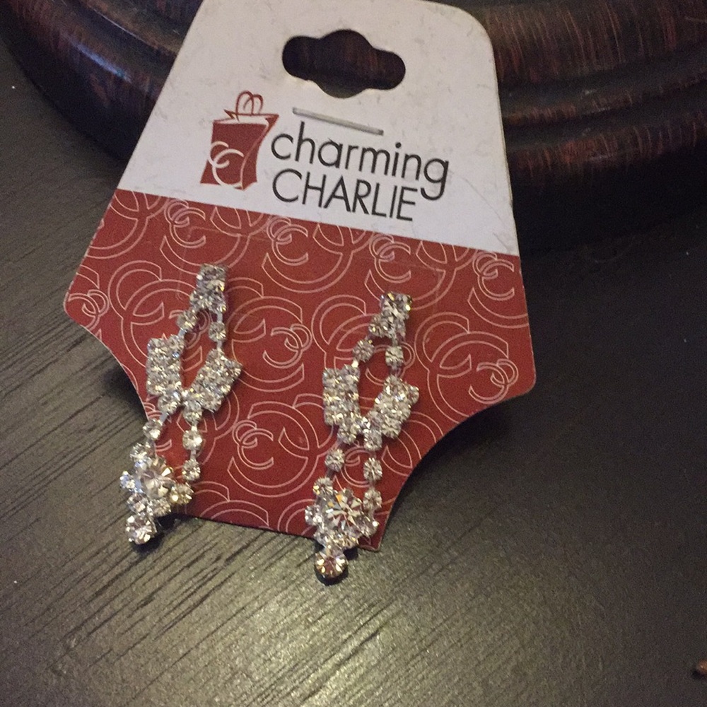Sparkly earrings - Picture 1 of 4